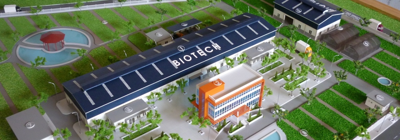 Nhà Máy Chế Biến Rau Sạch Nhà Máy Chế Biến Rau Sạch