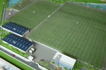 Khu Nhà Kính Trồng Rau Sạch