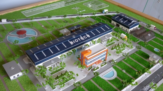 Nhà Máy Chế Biến Rau Sạch Nhà Máy Chế Biến Rau Sạch